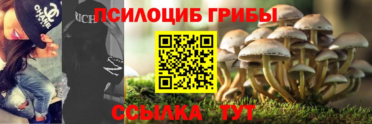 Ноябрьск  Псилоцибиновые грибы MAGIC MUSHROOMS  Вход с VPN 